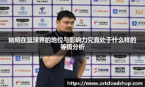 姚明在篮球界的地位与影响力究竟处于什么样的等级分析